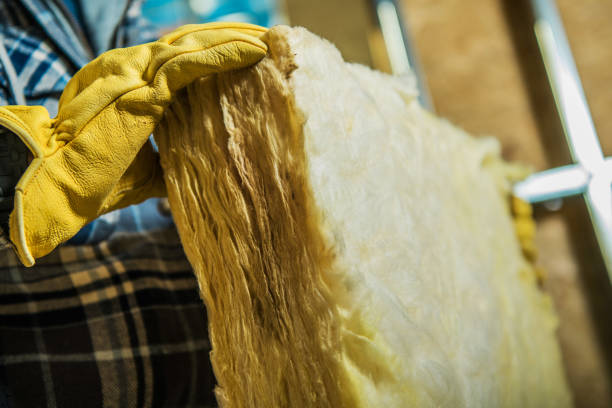 Best DIY Insulation Kits and Guidance in Pleasant Garden, NC