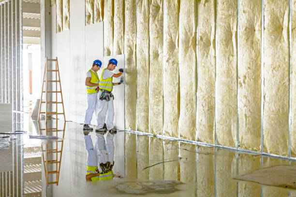 Best Cellulose Insulation in Pleasant Garden, NC